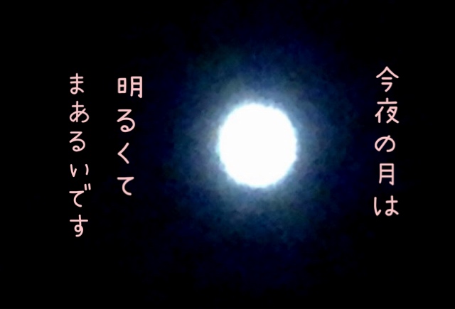 今夜の月は明るくて🌕まあるいです。 | 島根ダイハツ販売株式会社